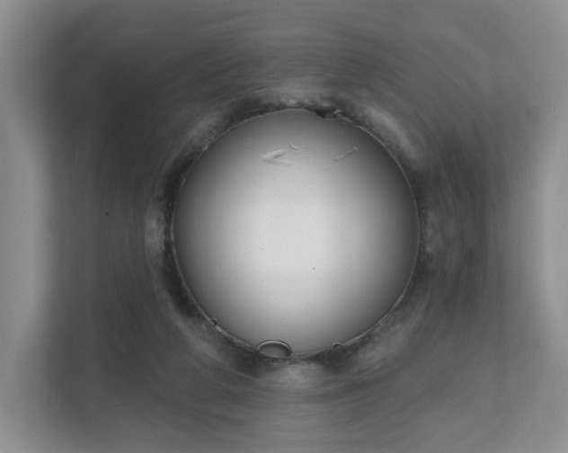 X0000111620210200907241037
