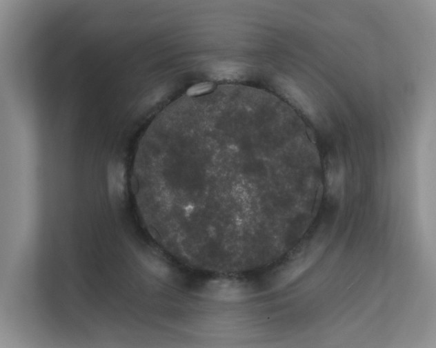 X0000111620211200907241036