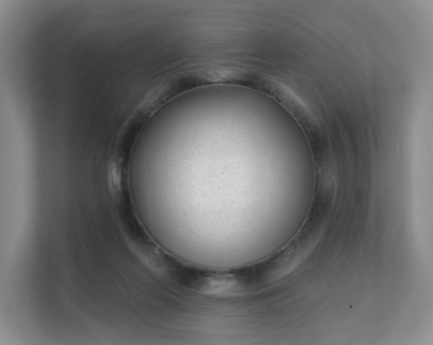 X0000111620214200907241036