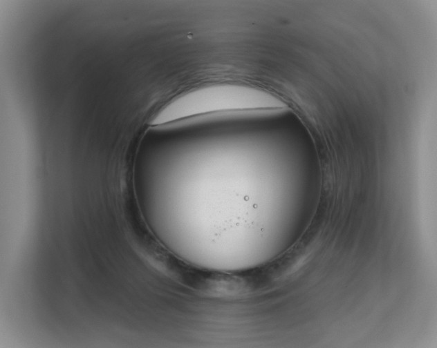 X0000111620215200907241036