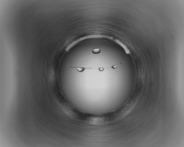 X0000111620220200907241036