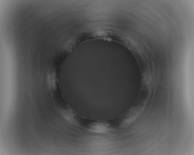 X0000111620223200907241036