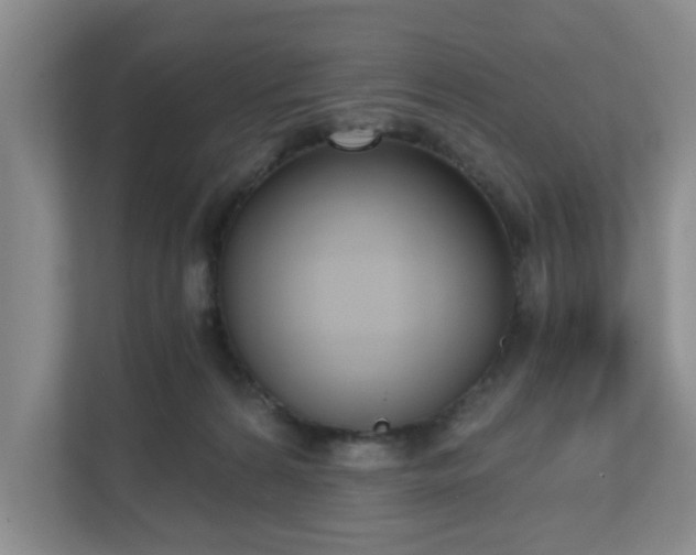 X0000111620224200907241036