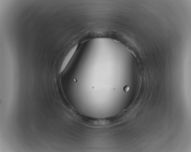 X0000111620225200907241036