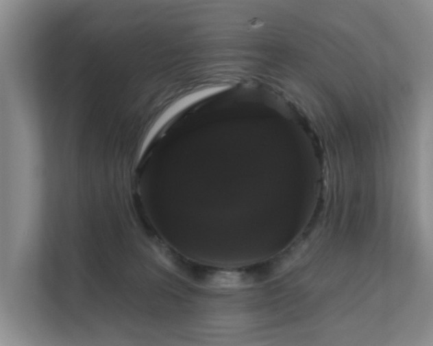 X0000111620227200907241036