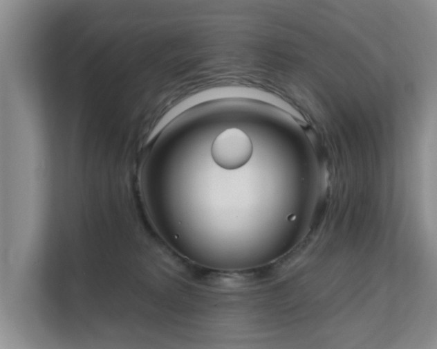 X0000111620229200907241036