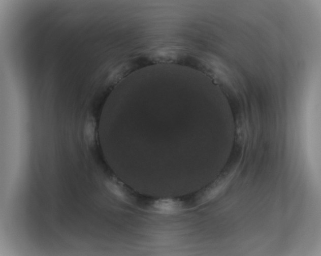 X0000111620231200907241036