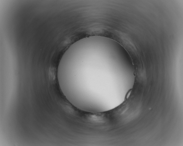 X0000111620232200907241036