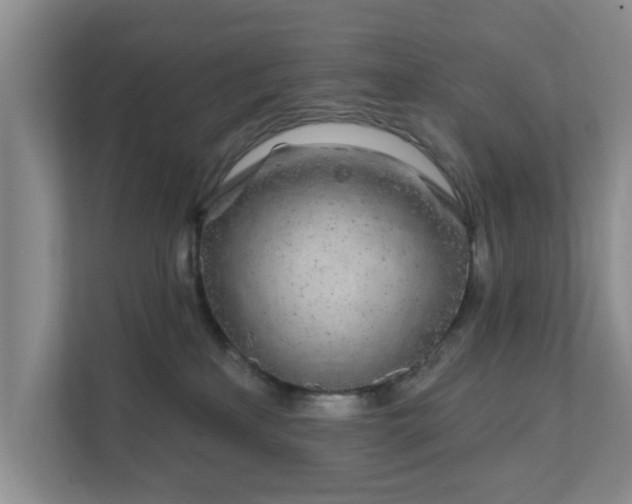 X0000111620233200907241036