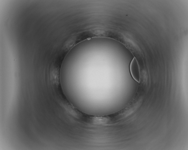 X0000111620234200907241036