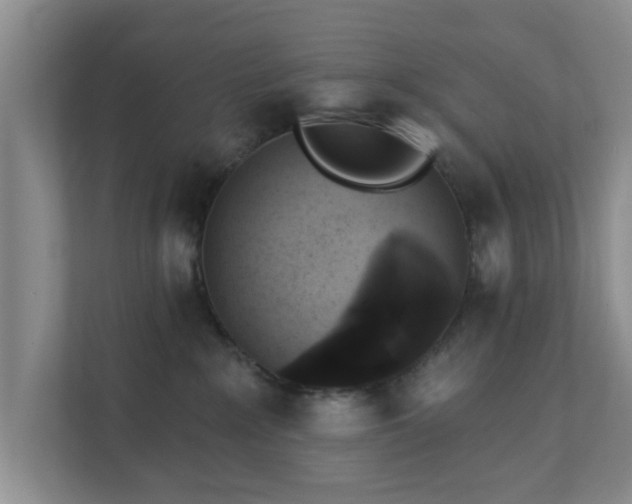 X0000111620235200907241036