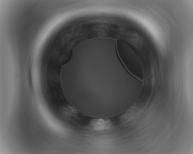 X0000111620239200907241036
