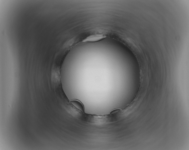X0000111620240200907241036