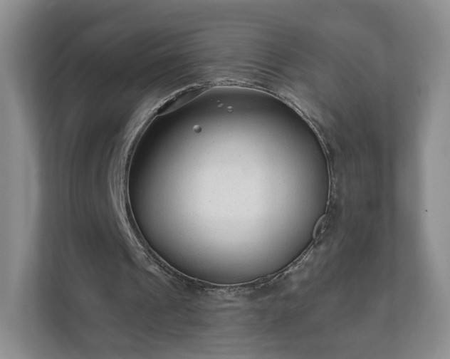 X0000111620241200907241035