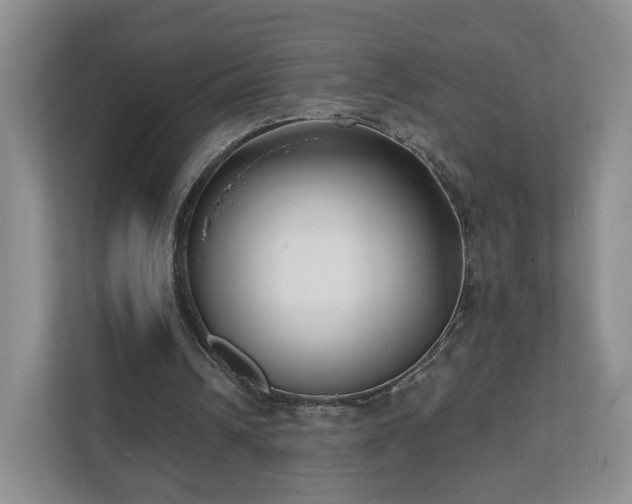 X0000111620242200907241036