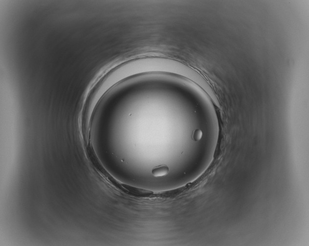 X0000111620244200907241036