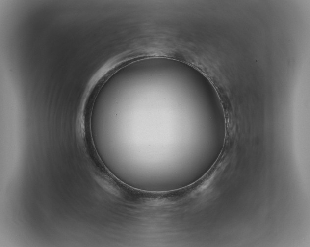 X0000111620246200907241036
