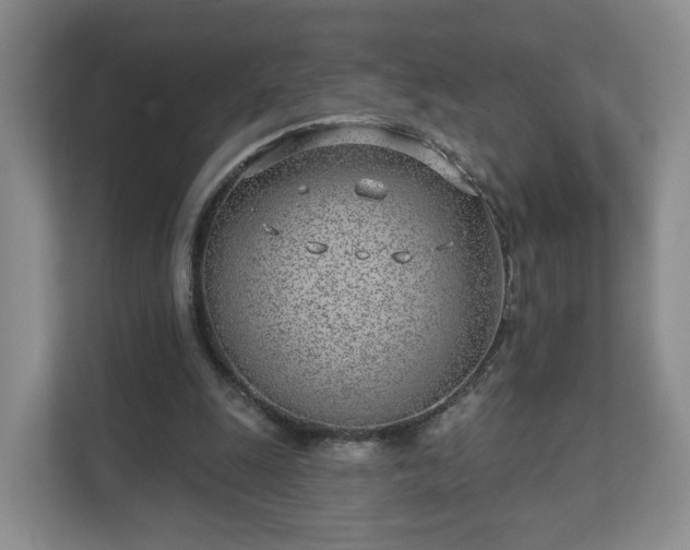 X0000111620247200907241036