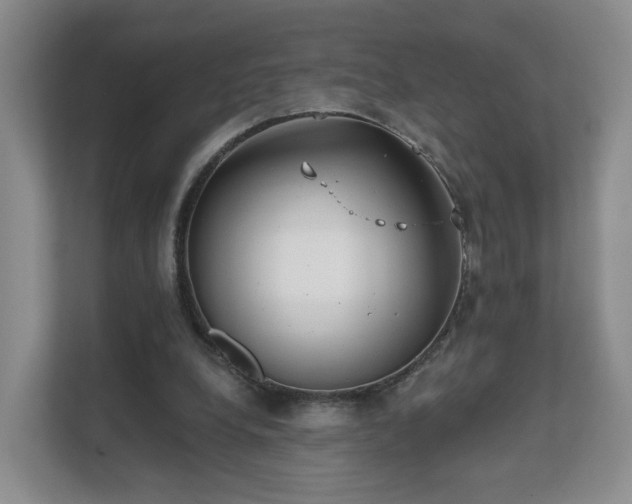 X0000111620248200907241036