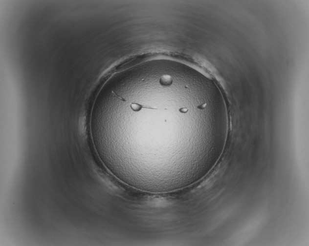 X0000111620249200907241036
