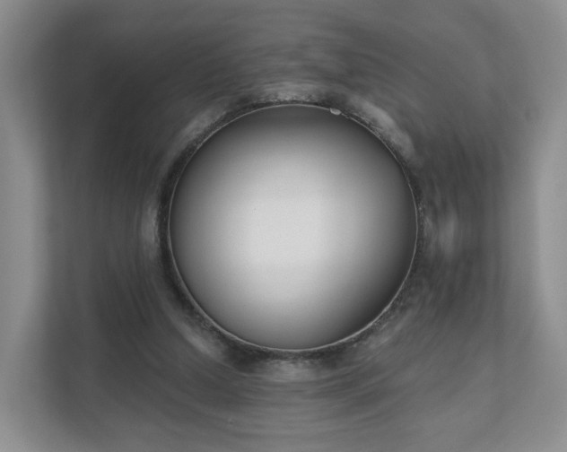 X0000111620250200907241036