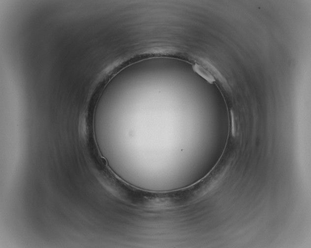 X0000111620252200907241036