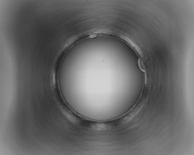 X0000111620253200907241036