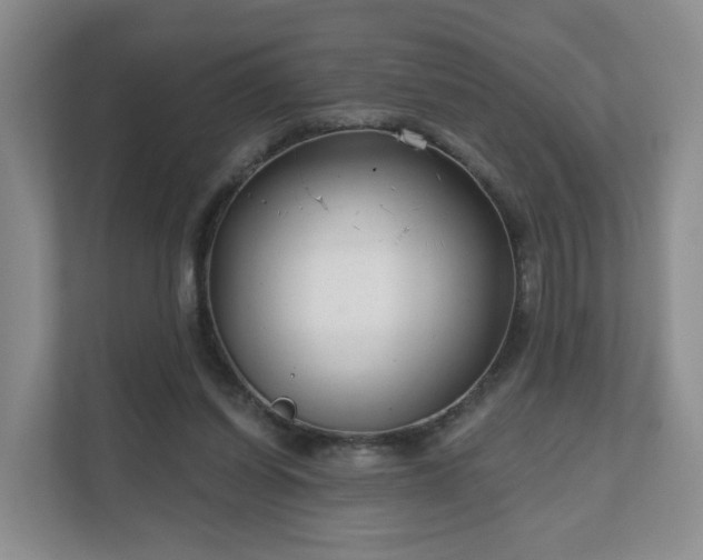 X0000111620254200907241036