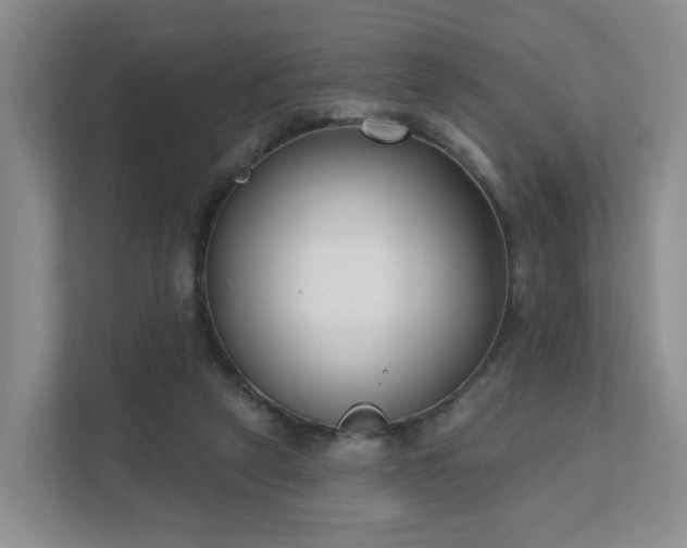 X0000111620257200907241036