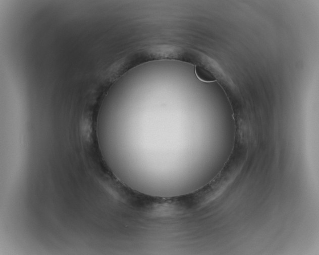 X0000111620259200907241036