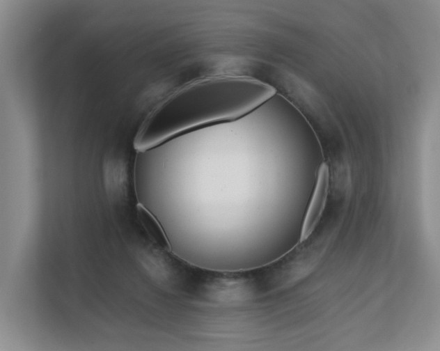 X0000111620260200907241036