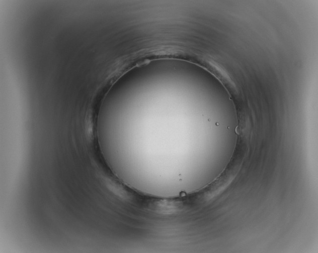 X0000111620261200907241036