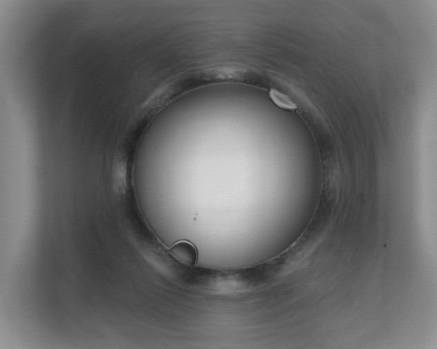 X0000111620262200907241036