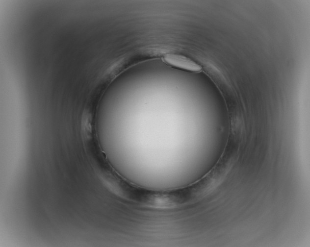 X0000111620264200907241036