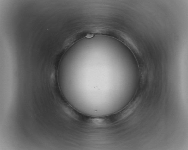 X0000111620265200907241036
