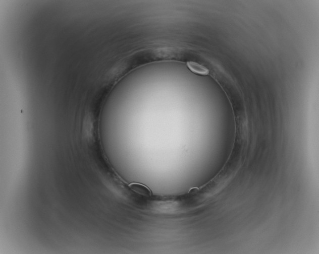 X0000111620266200907241036