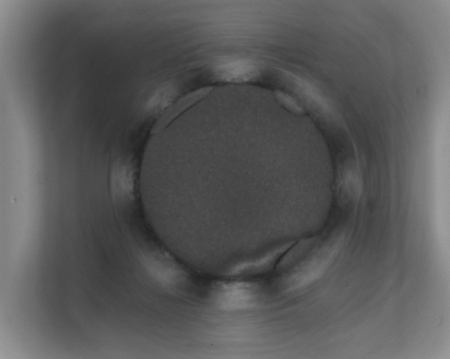 X0000111620268200907241036