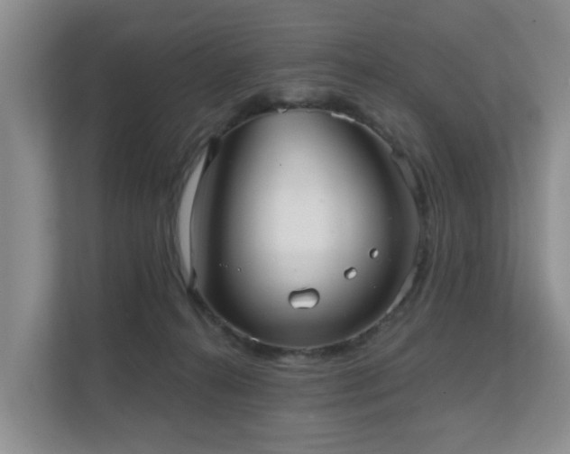 X0000111620272200907241036