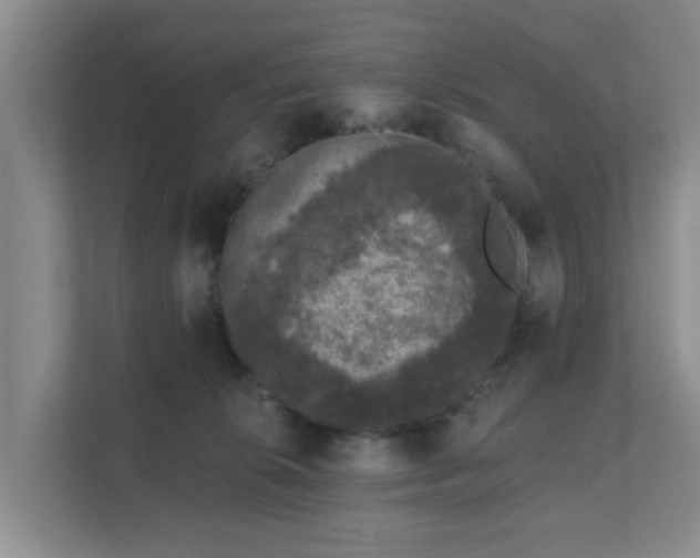 X0000111620276200907241036