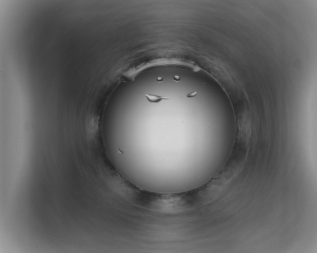 X0000111620278200907241036