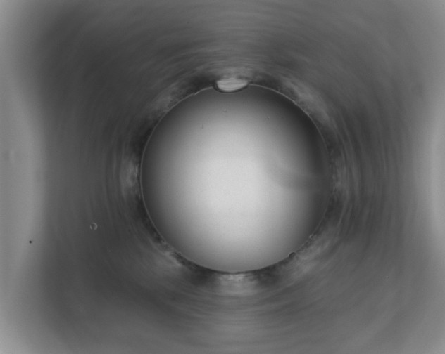 X0000111620281200907241036