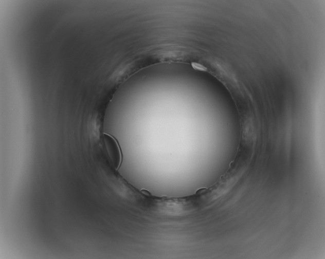 X0000111620282200907241036