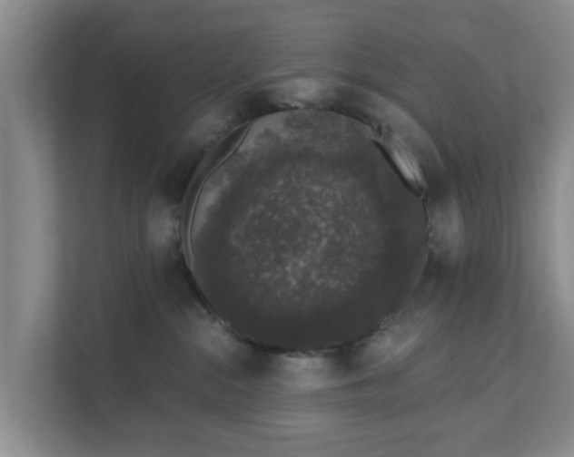 X0000111620284200907241036