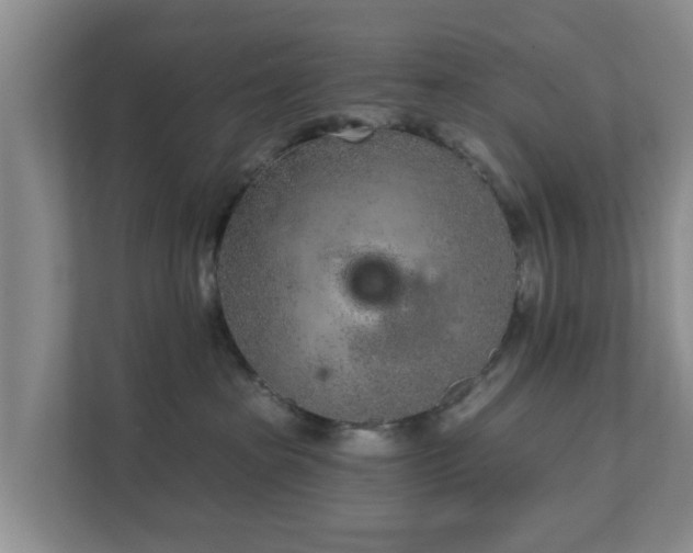 X0000111620285200907241036