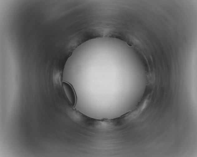 X0000111620286200907241036