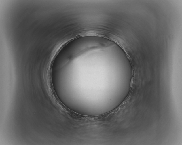 X0000111620289200907241035