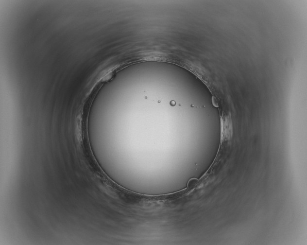 X0000111620291200907241035