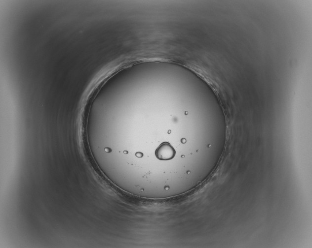 X0000111620293200907241035