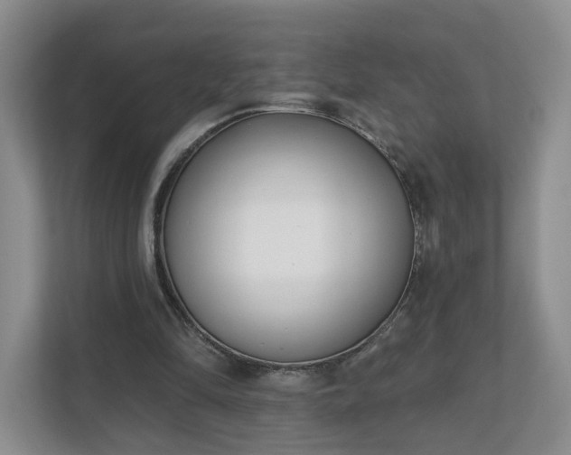 X0000111620294200907241035