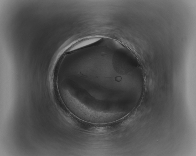 X0000111620295200907241035